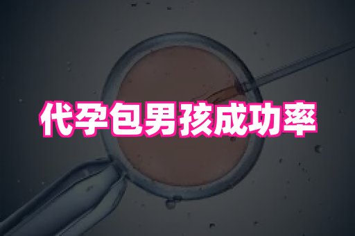 福建助孕网站 3